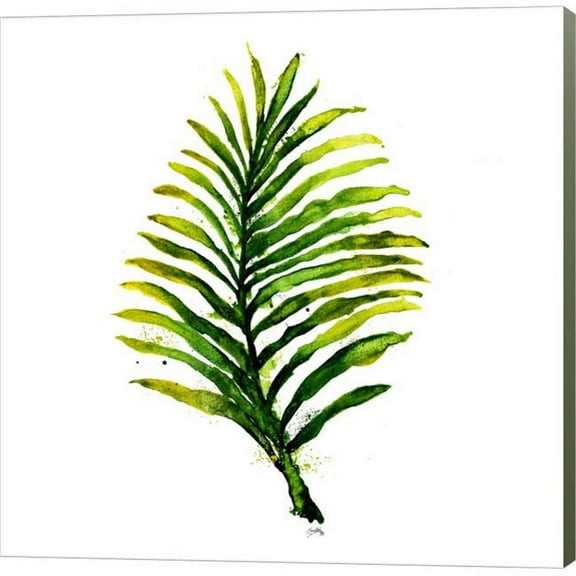 Metaverse C911036-0120000-YCEAAMA Green Leaves Square II by Elizabeth Medley Canvas Wall Art - 12 x 12 in.