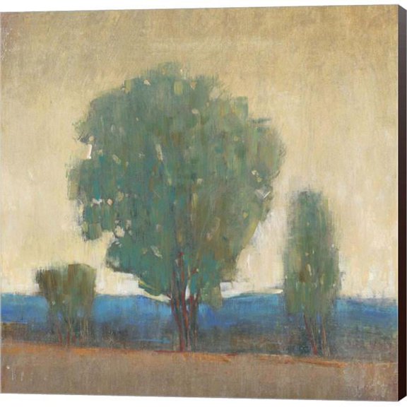 Metaverse C947726-0120000-ACDAAMA Clearing Storm I by Timothy O Toole Canvas Wall Art - 12 x 12 in.