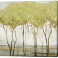 thumbnail image 1 of Metaverse C949201-0120000-AAAACMA Green Canopy II by Allison Pearce Canvas Wall Art - 12 x 12 in., 1 of 1