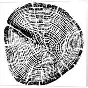 Metaverse C949352-0120000-ACAAAMA Wood Grain by Posters International Studio Canvas Wall Art - 12 x 12 in.