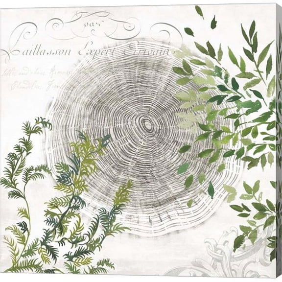 Metaverse C949455-0120000-AAAACMA Eco I by Aimee Wilson Canvas Wall Art - 12 x 12 in.