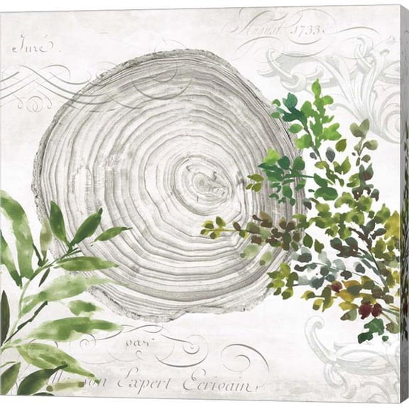 Metaverse C949457-0120000-AAAACMA Eco III by Aimee Wilson Canvas Wall Art - 12 x 12 in.