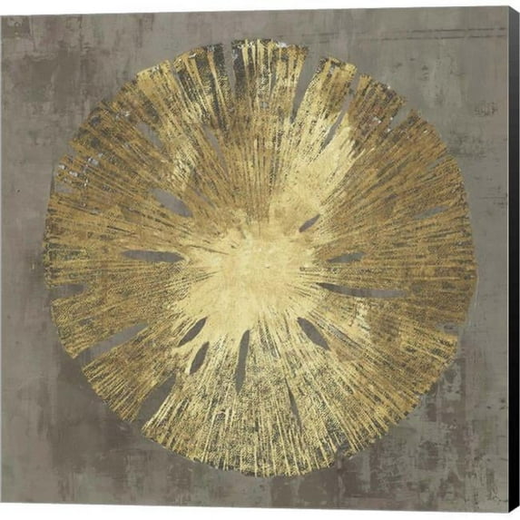 Metaverse C949478-0120000-8CAAAMA Sand Dollar IA by Aimee Wilson Canvas Wall Art - 12 x 12 in.