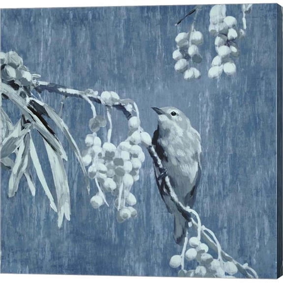 Metaverse C950069-0120000-AAAACMA Denim Songbird II by Edward Selkirk Canvas Wall Art - 12 x 12 in.