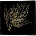 thumbnail image 1 of Metaverse C950182-0120000-8CAAAMA Gold Coral I by Aimee Wilson Canvas Wall Art - 12 x 12 in., 1 of 1