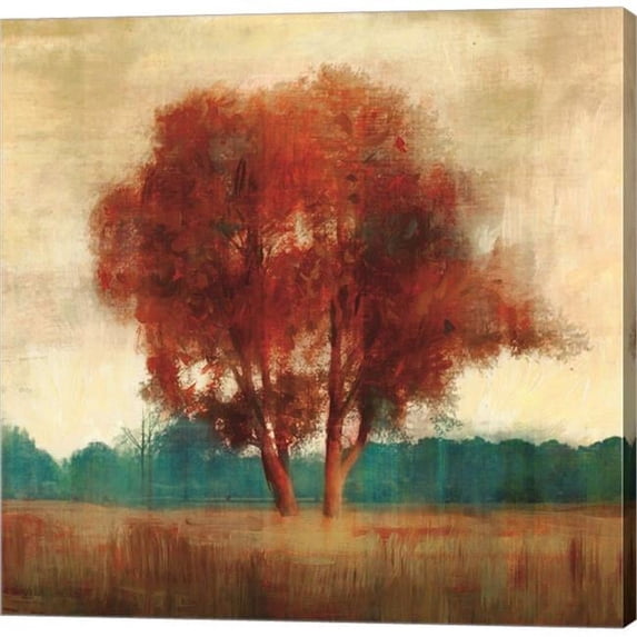Metaverse C950320-0120000-AAAACMA Dreamfall II by Edward Selkirk Canvas Wall Art - 12 x 12 in.