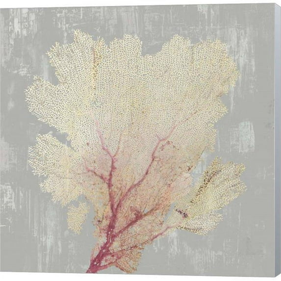 Metaverse C950470-0120000-ACCQAMA Blush Coral II by Aimee Wilson Canvas Wall Art - 12 x 12 in.