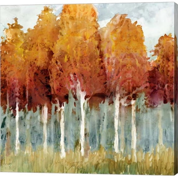 Metaverse C950568-0120000-AAAACMA Birch I by Edward Selkirk Canvas Wall Art - 12 x 12 in.