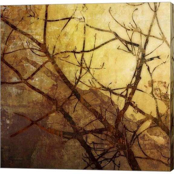 Metaverse C950705-0120000-AAAACMA Ombre Branches I by James McMaster Canvas Wall Art - 12 x 12 in.