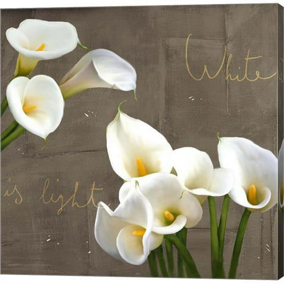 Metaverse C958722-0120000-AAAACMA White Callas by Teo Rizzardi Canvas Wall Art - 12 x 12 in.