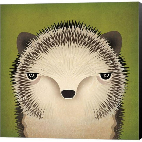 Metaverse C959205-0120000-8CAAAMA Baby Hedgehog by Ryan Fowler Canvas Wall Art - 12 x 12 in.