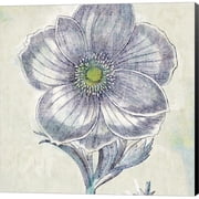 Metaverse C962650-0120000-8CAAAMA Belle Fleur II by Sue Schlabach Canvas Wall Art - 12 x 12 in.