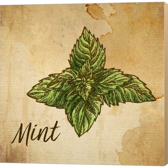 Metaverse Color Me Happy 'Mint on Burlap' Canvas Art
