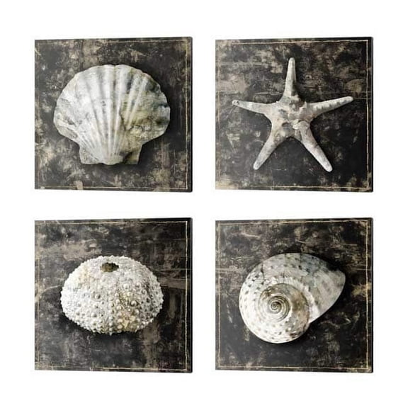 Metaverse Edward Selkirk 'Marble Shell Series' Canvas Art (Set of 4)