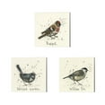 thumbnail image 1 of Metaverse Michelle Campbell 'Redpoll, Warbler & Willow Tit' Canvas Art (Set of 3), 1 of 5
