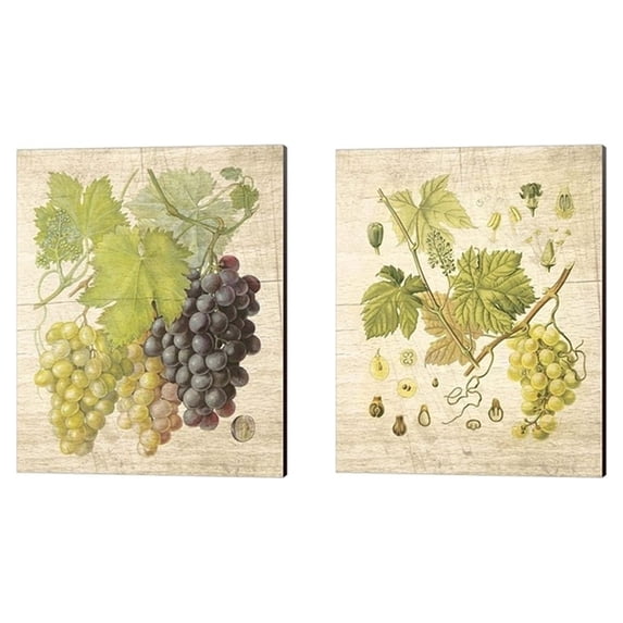 Metaverse Nobleworks Inc. 'Grapevine' Canvas Art (Set of 2)