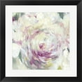 thumbnail image 1 of Metaverse R949686-0140000-AMAEAGOEDM 19.5 x 19.5 in. Shabby Peony I Framed Wall Art by PI Galerie, 1 of 1