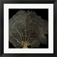 thumbnail image 1 of Metaverse R950185-0140000-AMAEAGOEDM 19.5 x 19.5 in. Honeycomb Coral II Framed Wall Art by Aimee Wilson, 1 of 1