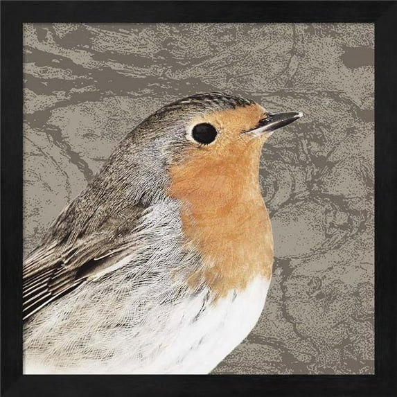 Feathered V by Posters International Studio, Framed Wall Art, 13.25W x 13.25H