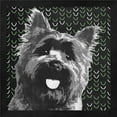 thumbnail image 1 of Metaverse R951384-0120000-AEAAAAEAN4 13.25 x 13.25 in. Yorkie Framed Wall Art by Posters International Studio, 1 of 3