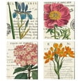 thumbnail image 1 of Metaverse Sue Schlabach 'Peony, Euphorbia, Phlox & Iris' Canvas Art (Set of 4), 1 of 5
