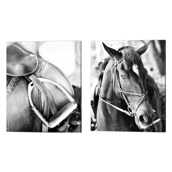 Metaverse Susan Bryant 'Derby' Canvas Art (Set of 2)