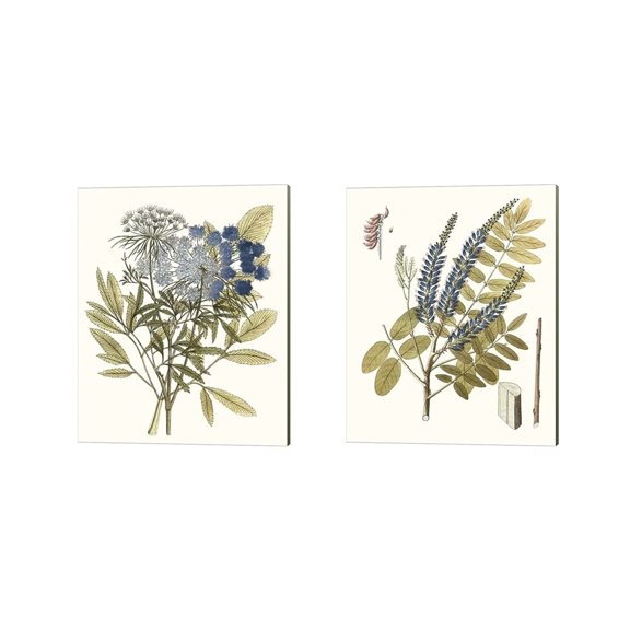 Metaverse Unknown 'Lacy Leaves B' Canvas Art (Set of 2)