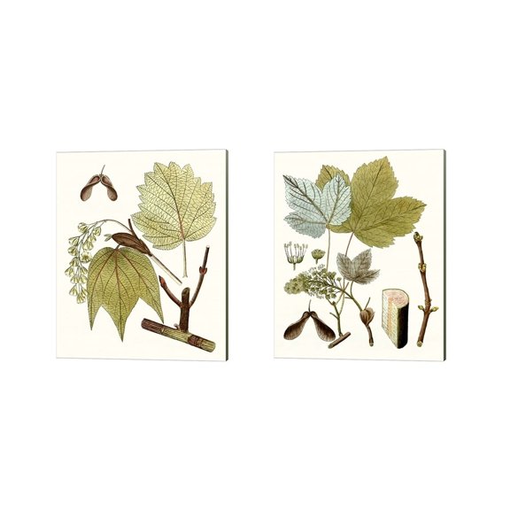 Unknown 'Maple Leaves A' Canvas Art (Set of 2)