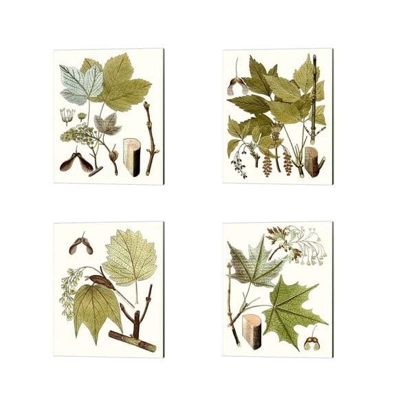 Unknown 'Maple Leaves' Canvas Art (Set of 4)