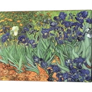 Metaverse Vincent Van Gogh Irises, 1889 Canvas Art