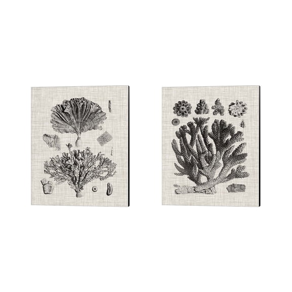 Metaverse Vision Studio 'Coral Specimen A' Canvas Art (Set of 2)