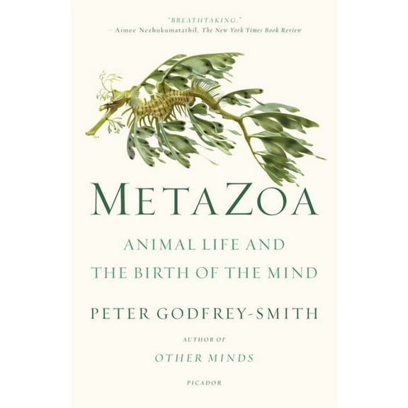 Metazoa: Animal Life and the Birth of the Mind, (Paperback)