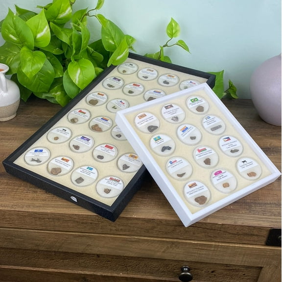 Meteorite Specimen Collection - 12-Piece & 24-Piece