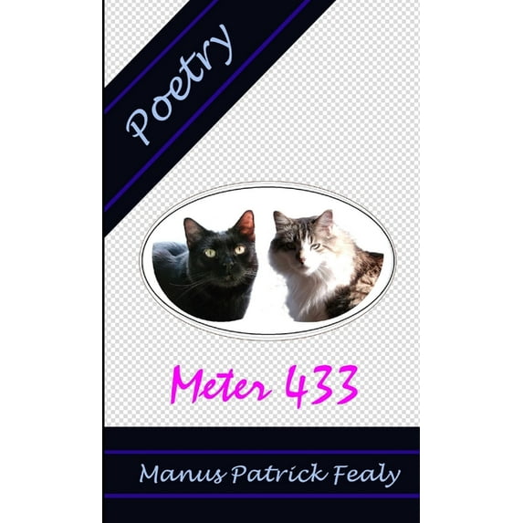 Meter 433: Poetry, (Paperback)