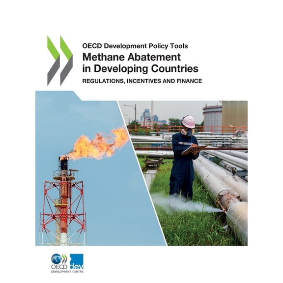 Methane Abatement in Developing Countries, (Paperback)