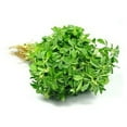 thumbnail image 1 of Methi Leaves Each, 1 of 2