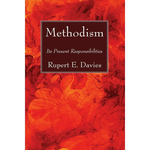 Methodism (Hardcover)
