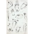 thumbnail image 1 of Methods Of Arresting Bleeding. From The Household Physician Published Circa 1890. Poster Print, 1 of 3