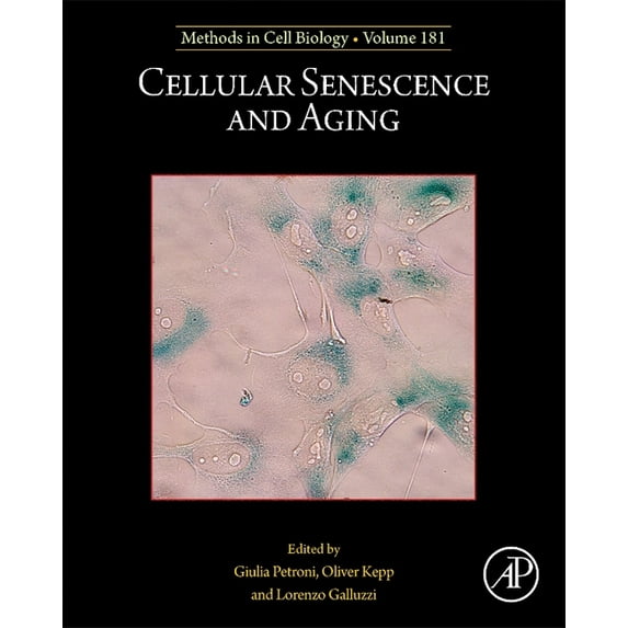 Methods in Cell Biology Cellular Senescence and Aging: Volume 181, Book 181, (Hardcover)
