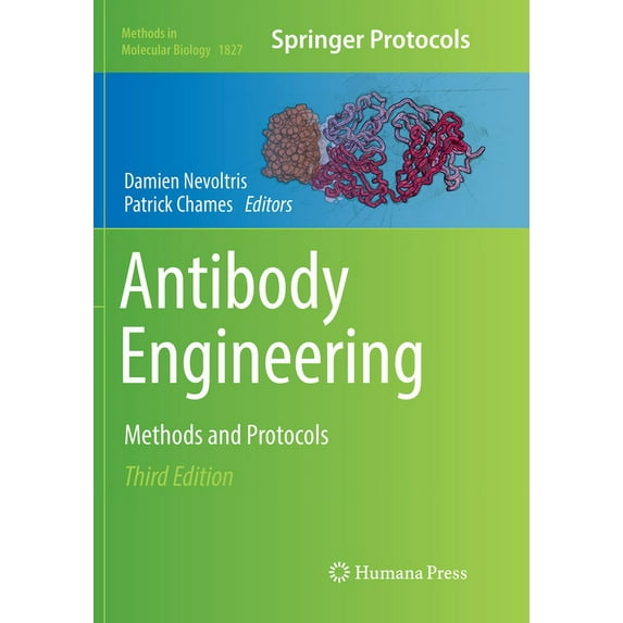 Methods in Molecular Biology Antibody Engineering: Methods and Protocols, Book 1827, (Paperback)
