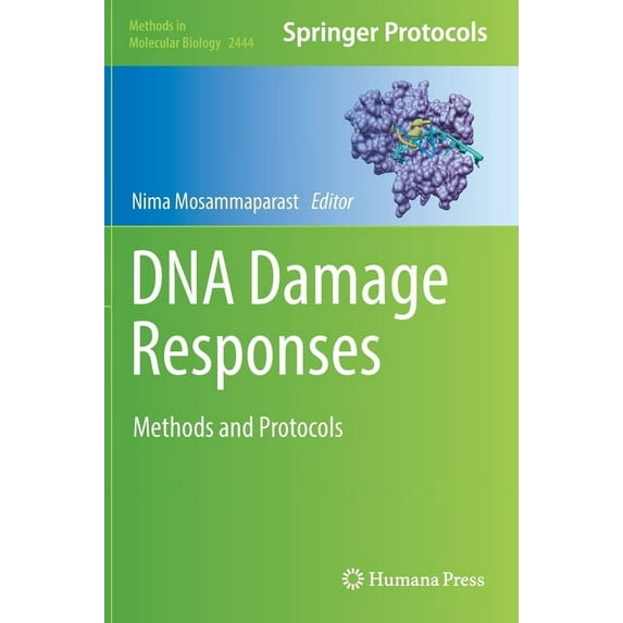 Methods in Molecular Biology DNA Damage Responses: Methods and Protocols, Book 2444, (Hardcover)