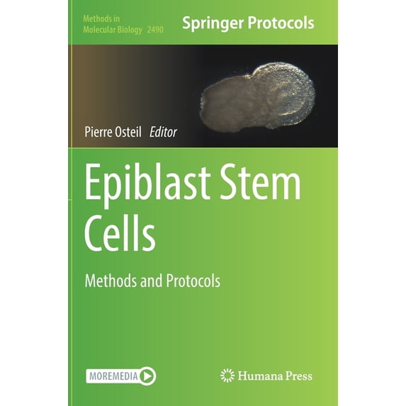 Methods in Molecular Biology Epiblast Stem Cells: Methods and Protocols, Book 2490, (Hardcover)