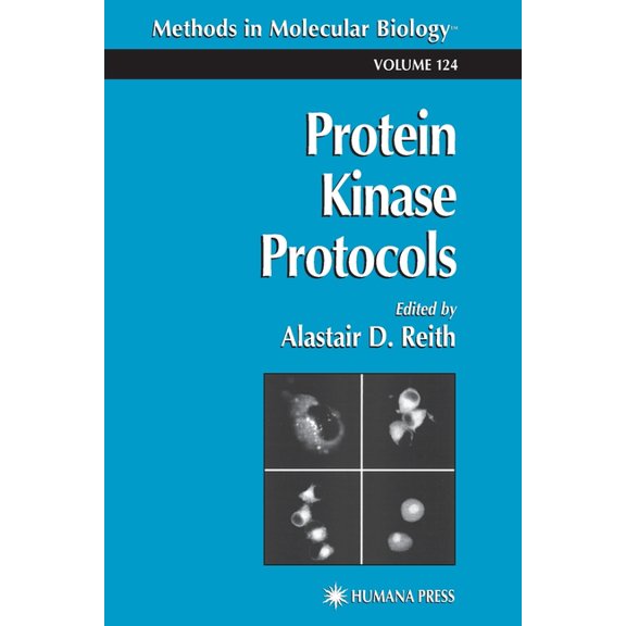 Methods in Molecular Biology Protein Kinase Protocols, Book 124, (Paperback)