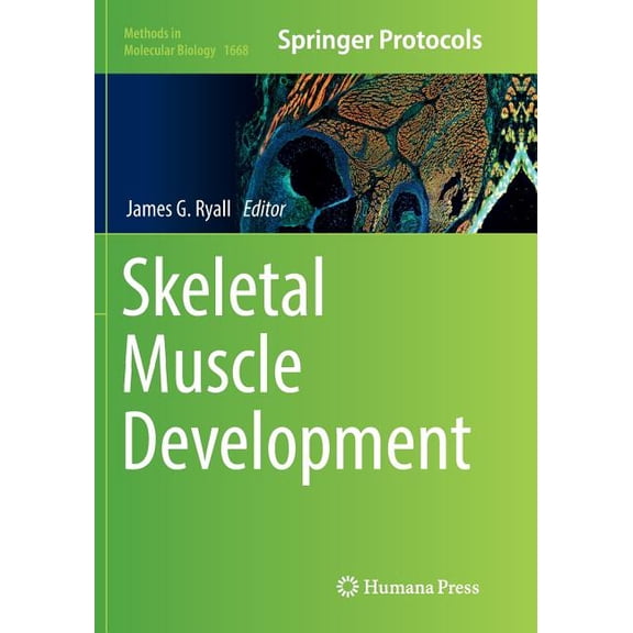 Methods in Molecular Biology Skeletal Muscle Development, Book 1668, (Paperback)