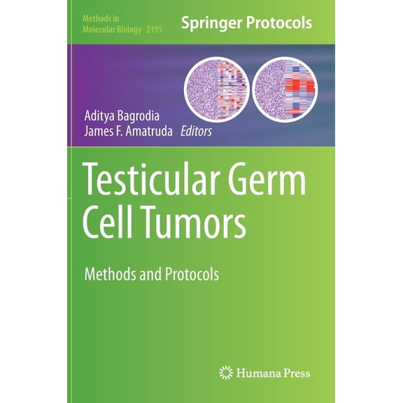 Methods in Molecular Biology Testicular Germ Cell Tumors: Methods and Protocols, Book 2195, (Hardcover)