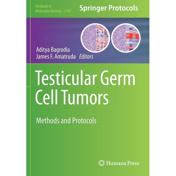 Methods in Molecular Biology Testicular Germ Cell Tumors: Methods and Protocols, Book 2195, (Paperback)