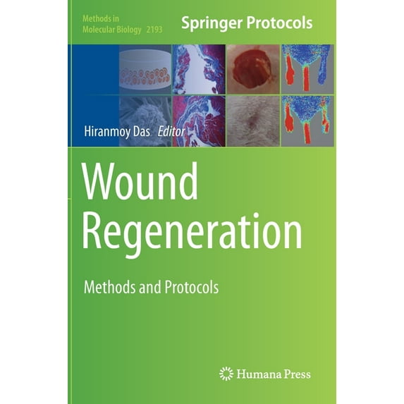 Methods in Molecular Biology Wound Regeneration: Methods and Protocols, Book 2193, (Hardcover)