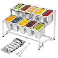 Meticuloso Expandable Spice Rack Stainless Steel Organizer Shelf for