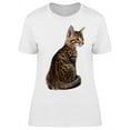 thumbnail image 1 of Metis Breed Small Kitten T-Shirt Women -Image by Shutterstock, Female Small, 1 of 2