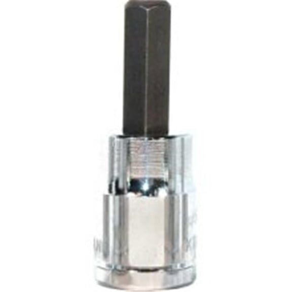 Metric Hex Bit 10mm